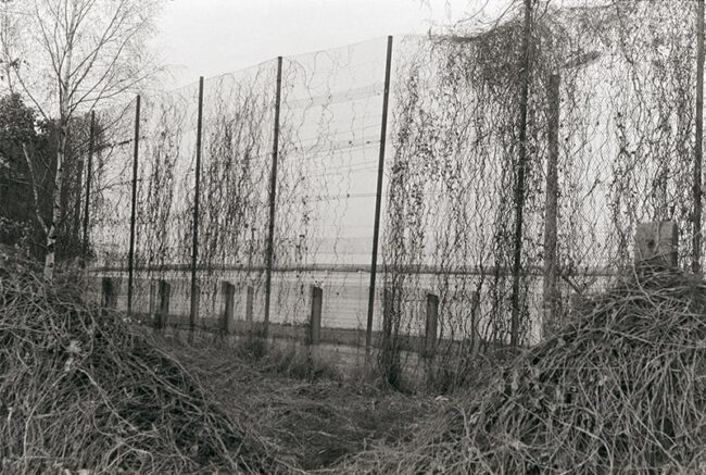 An einem auf sechs Meter erhöhten Abschnitt des Hinterlandzaunes bei Schloss Cecilienhof sollten Kletterpflanzen die Sicht auf die Grenzanlagen verdecken (1989) - Foto: Grenzanlage in Nähe der Meierei/SPSG/Peter Rohn