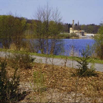 Landschaftsansicht mit See: Die am Quapphorn gepflanzten Bäume und Sträucher nach einem Jahr Wachstum im Februar 1992 - Foto: SPSG/Schurig