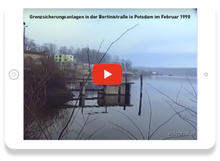 bg-video_1